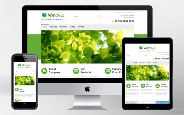 SEO, Html5, Website Building